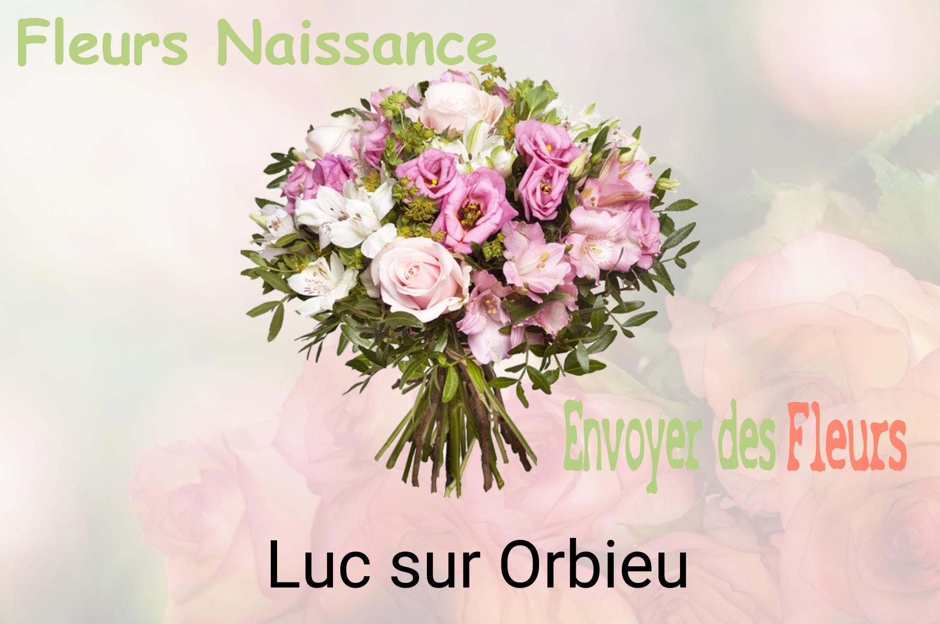 Bouquet de fleurs de naissance livré à Luc-sur-Orbieu