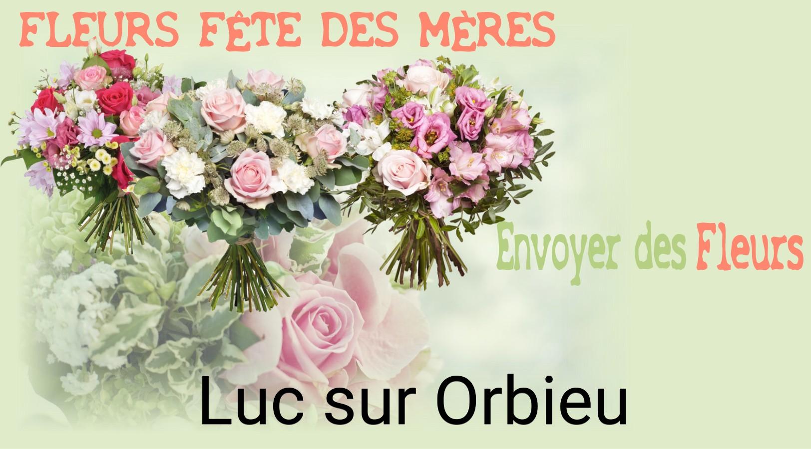 Bouquet de Fête des Mères livré à Luc-sur-Orbieu